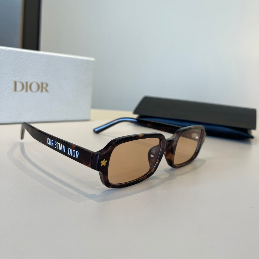 Dior Fashion Brown Lens Sunglasses for Women