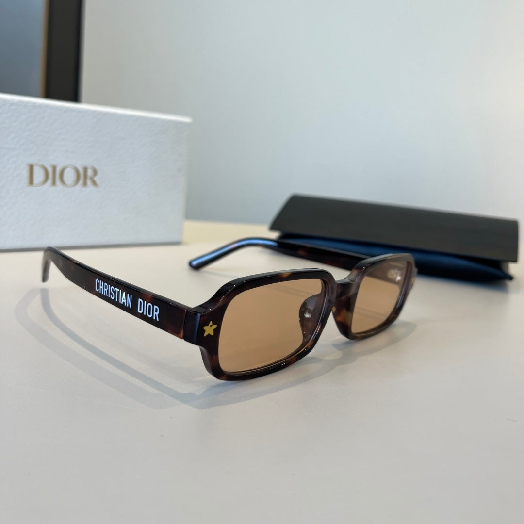 Dior Fashion Brown Lens Sunglasses for Women
