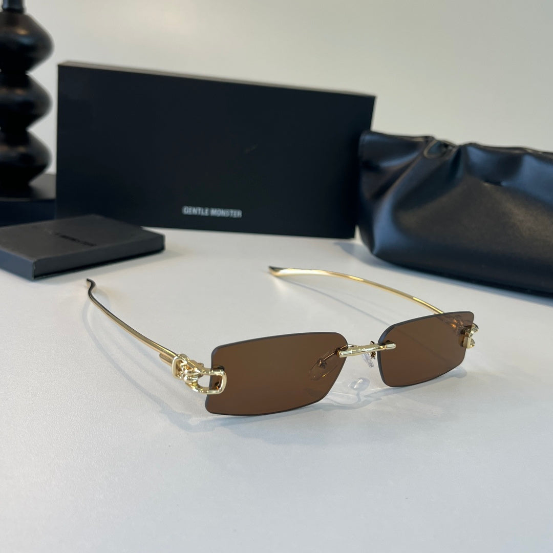 Gentle Monster Fashion Brown Lens Sunglasses for Men & Women - 488018