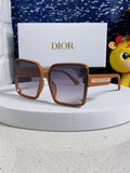 Dior Polarized Fashion Silver Lens Sunglasses for Women
