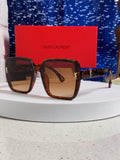 Saint Laurent Browline Brown Lens Sunglasses for Men & Women