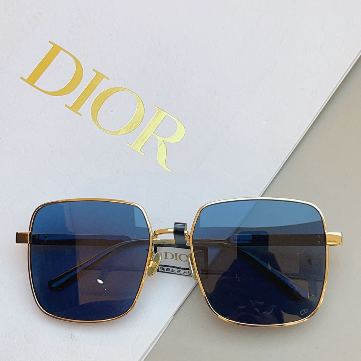 Dior DIORCANNAGE Fashion Blue Lens Sunglasses for Men & Women